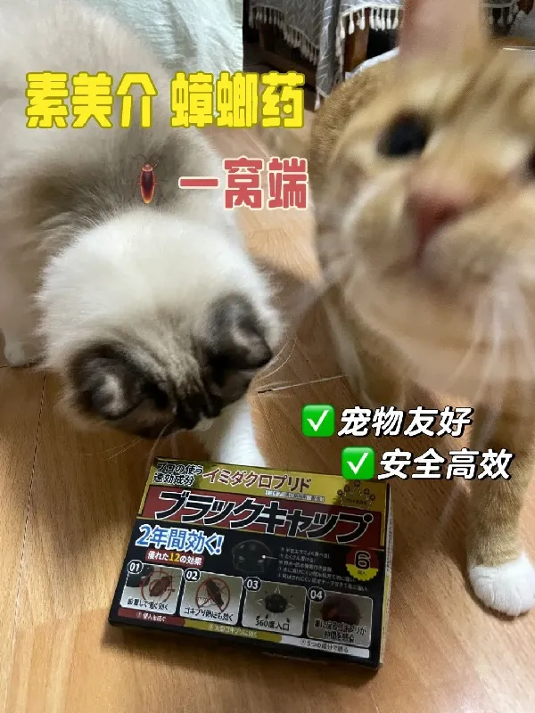 入梅真的需要它！🪳一窝端的素美介蟑螂药