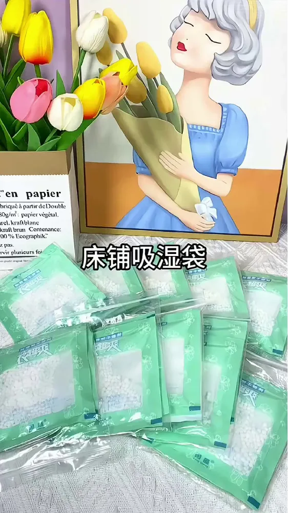 💥宿舍党/租房族必备!除湿神器大揭秘😎