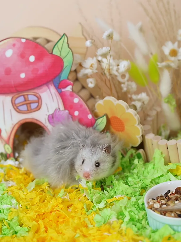 🐹仓鼠冬季必备！宠尚天纸棉垫料，无尘保暖神器🔥