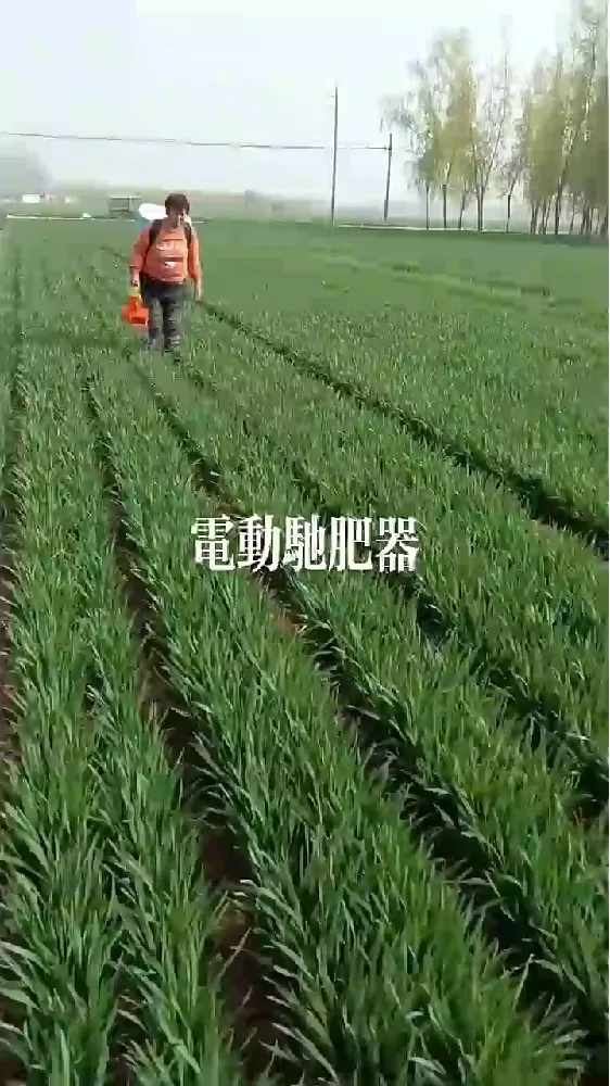 五一种地神器！5 亩果园一天搞定，老腰终于解放👨‍🌾