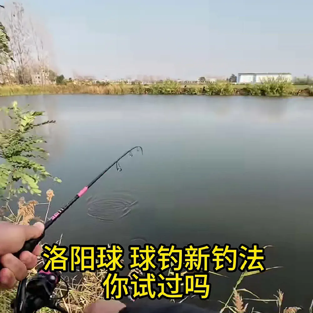 钓鱼人必看!辰义洛阳球球漂不同款式怎么选?