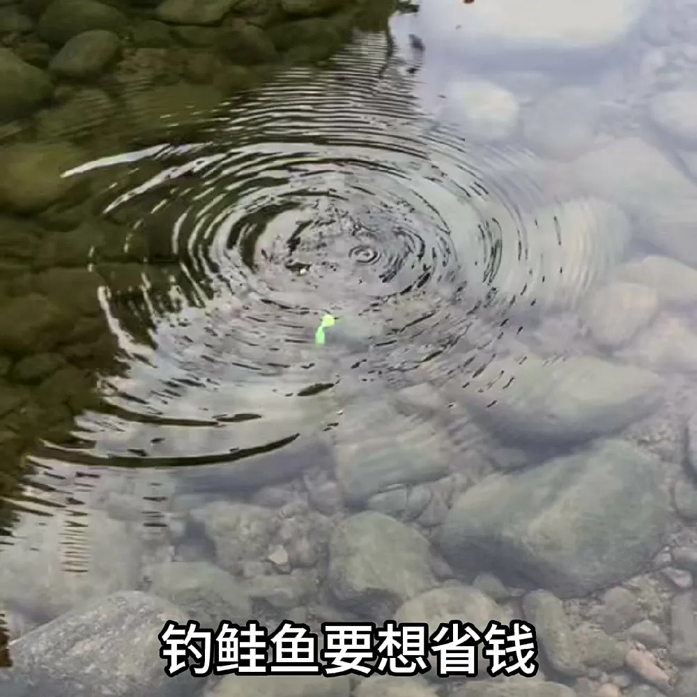 路亚新手必看!3种隐藏玩法钓爆护🐟