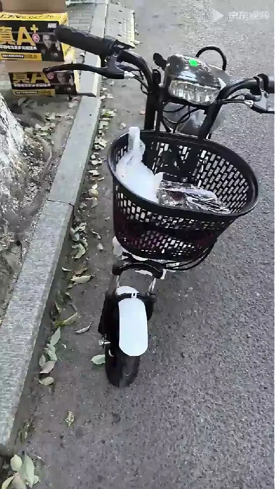 家人们，我必须得说，我买的这台永久电动滑板车真的🐂！