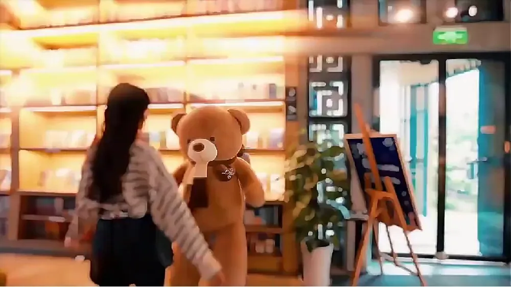 当我发现杰雅蒂泰迪熊的隐藏浪漫……