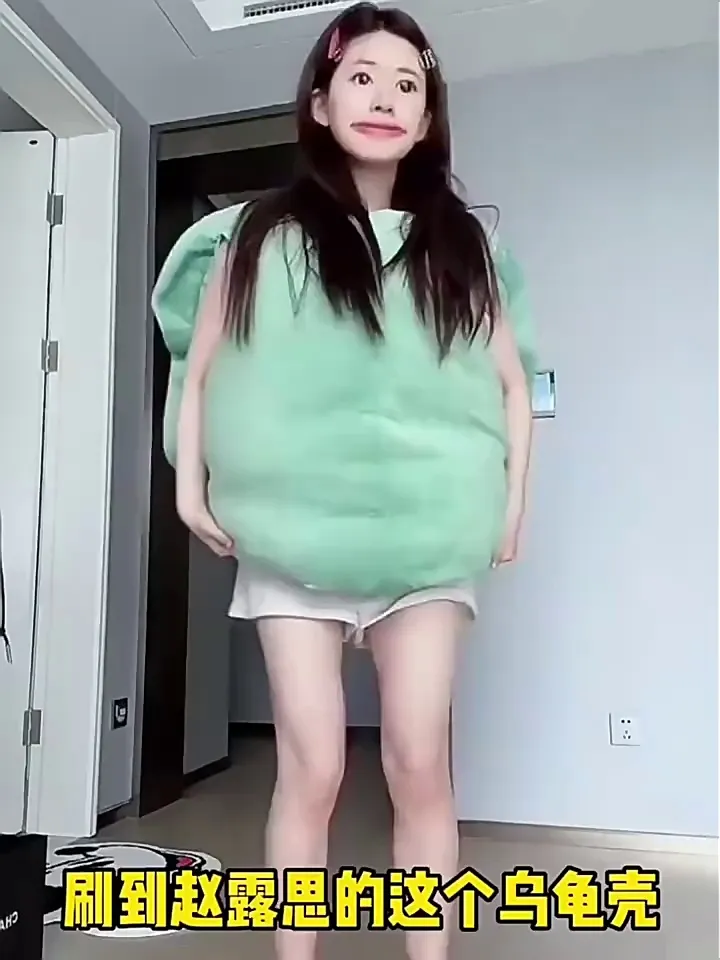 ✍拆开乌龟壳抱枕档案👀不同需求选什么抱枕玩偶