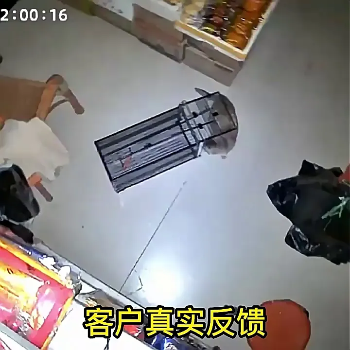 这一套人道救助“组合拳”,轻松拿捏毛孩子!