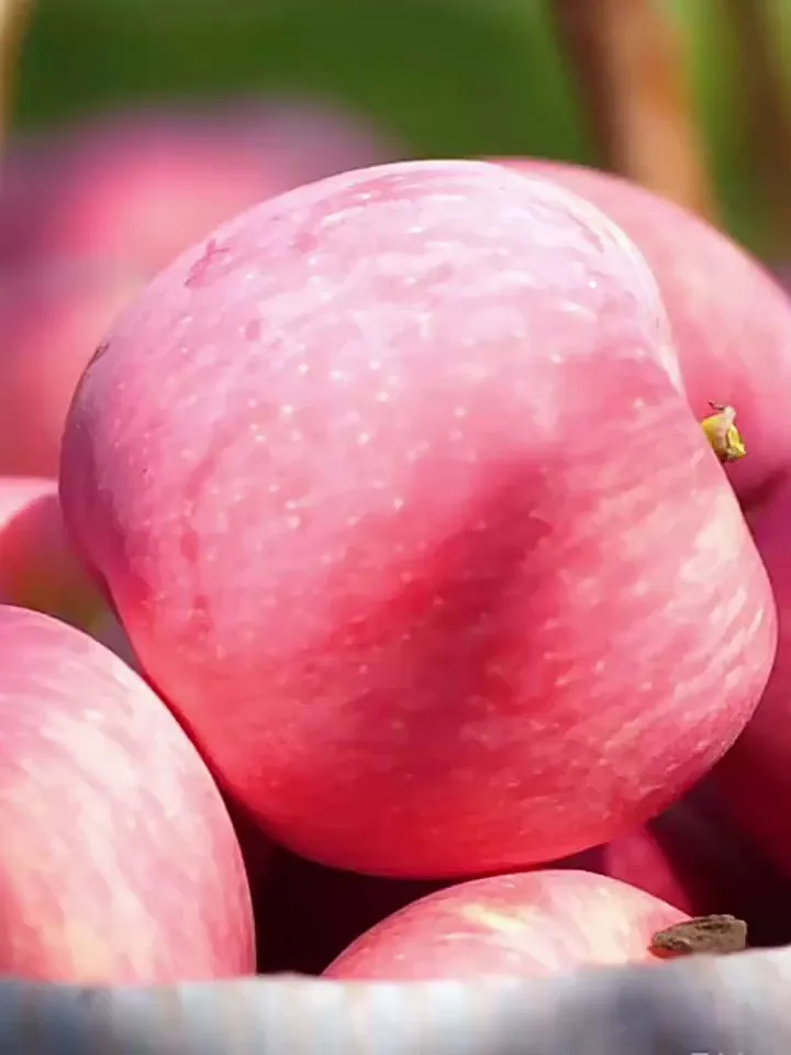 2025年必尝！正宗红富士苹果🍎