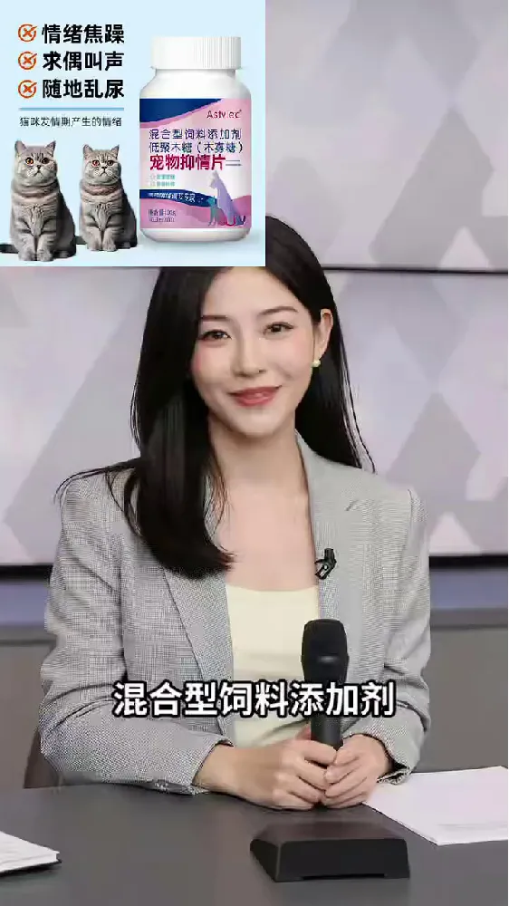 铲屎官必看!猫咪发情不发愁,颜值保卫战有妙招