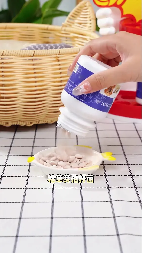 铲屎官必看!毛孩子肠胃“小卫士”登场