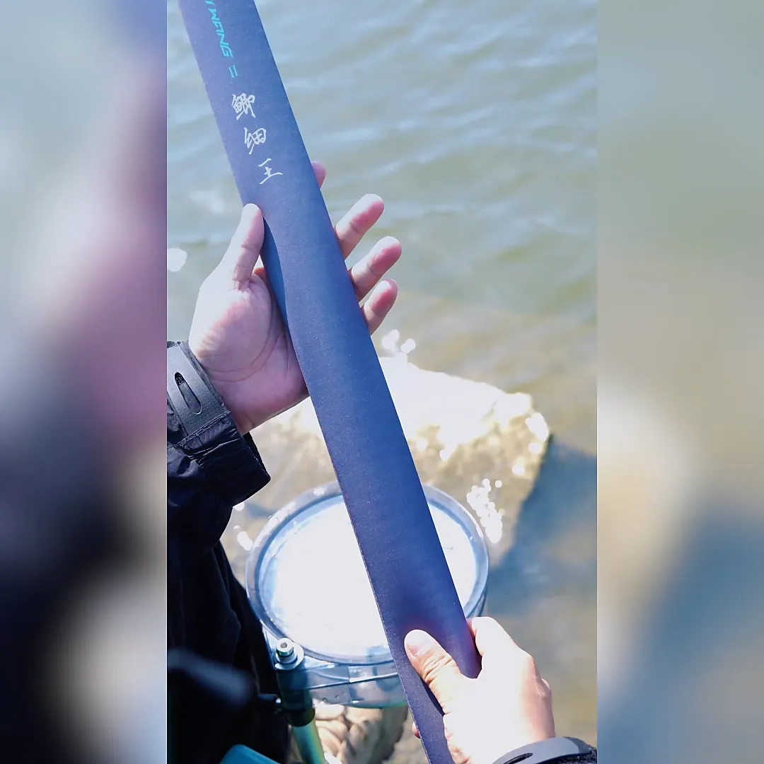 就素这个鲫细王 爽!!!