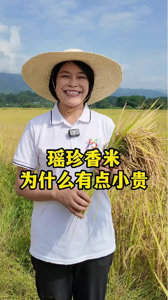 不知道买啥米?看这一篇就够了!