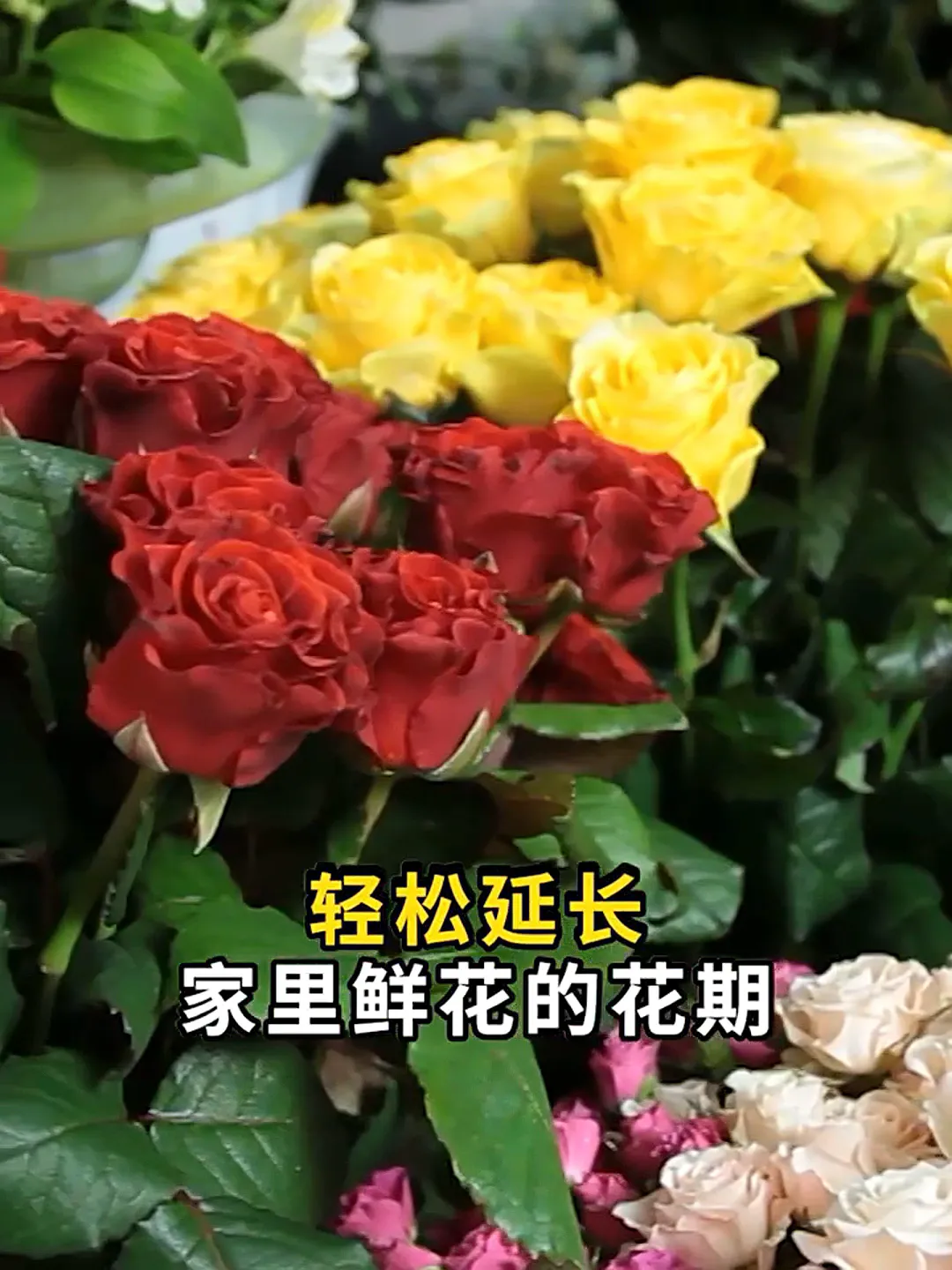 养花总怕鲜花早早枯萎？鑫德马花卉保鲜剂来帮你！