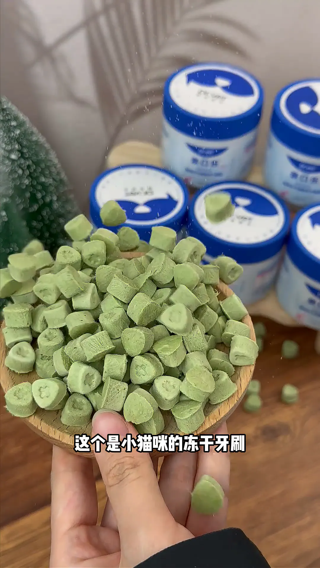 铲屎官必备！猫咪口气救星来啦