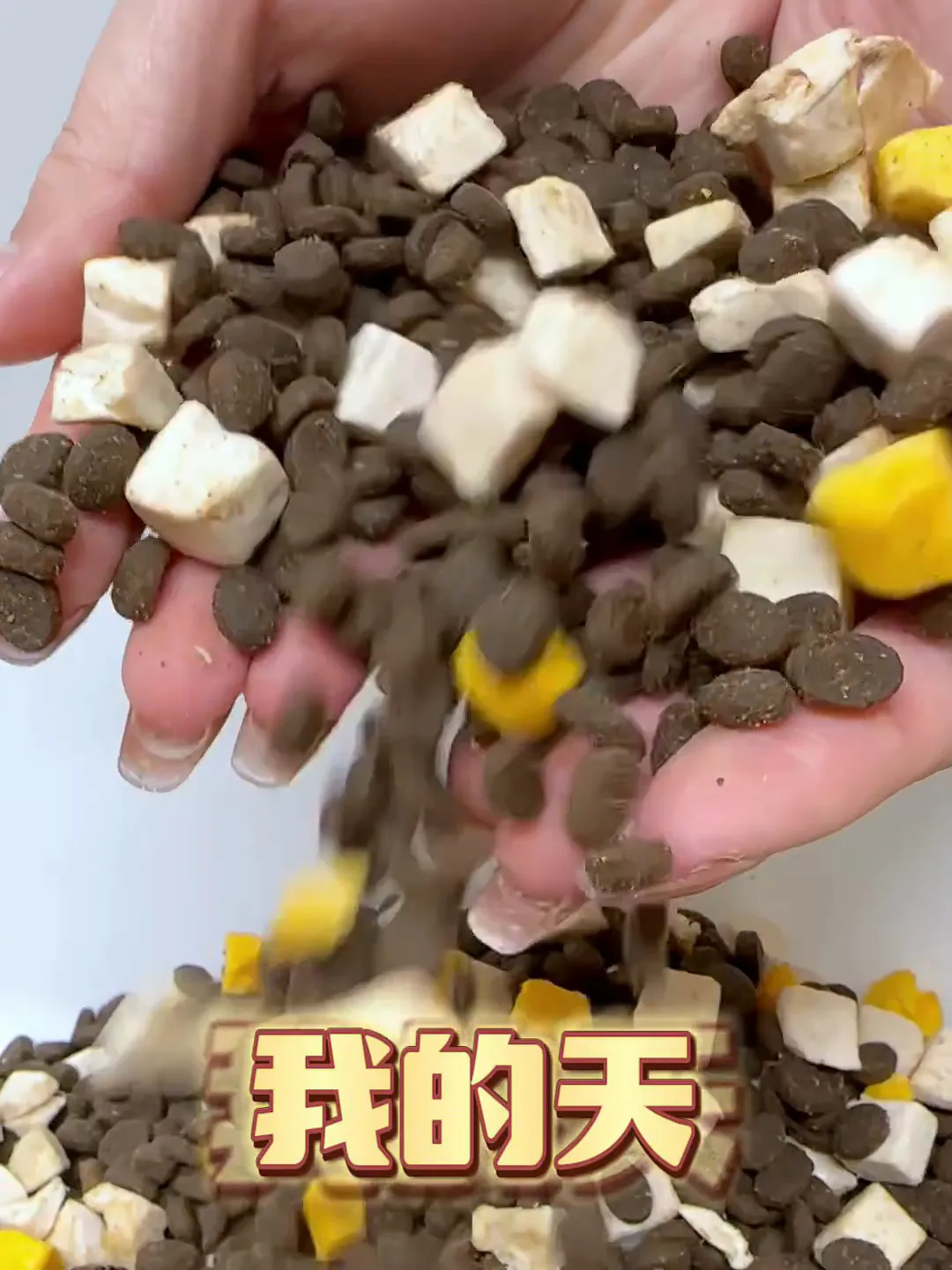 狗狗挑食退退退！这款狗粮解锁美味营养新体验