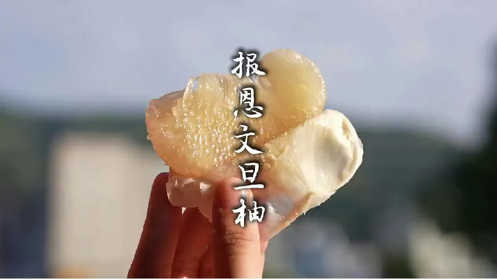 水果脑袋的福音!这个柚子真的绝绝子!