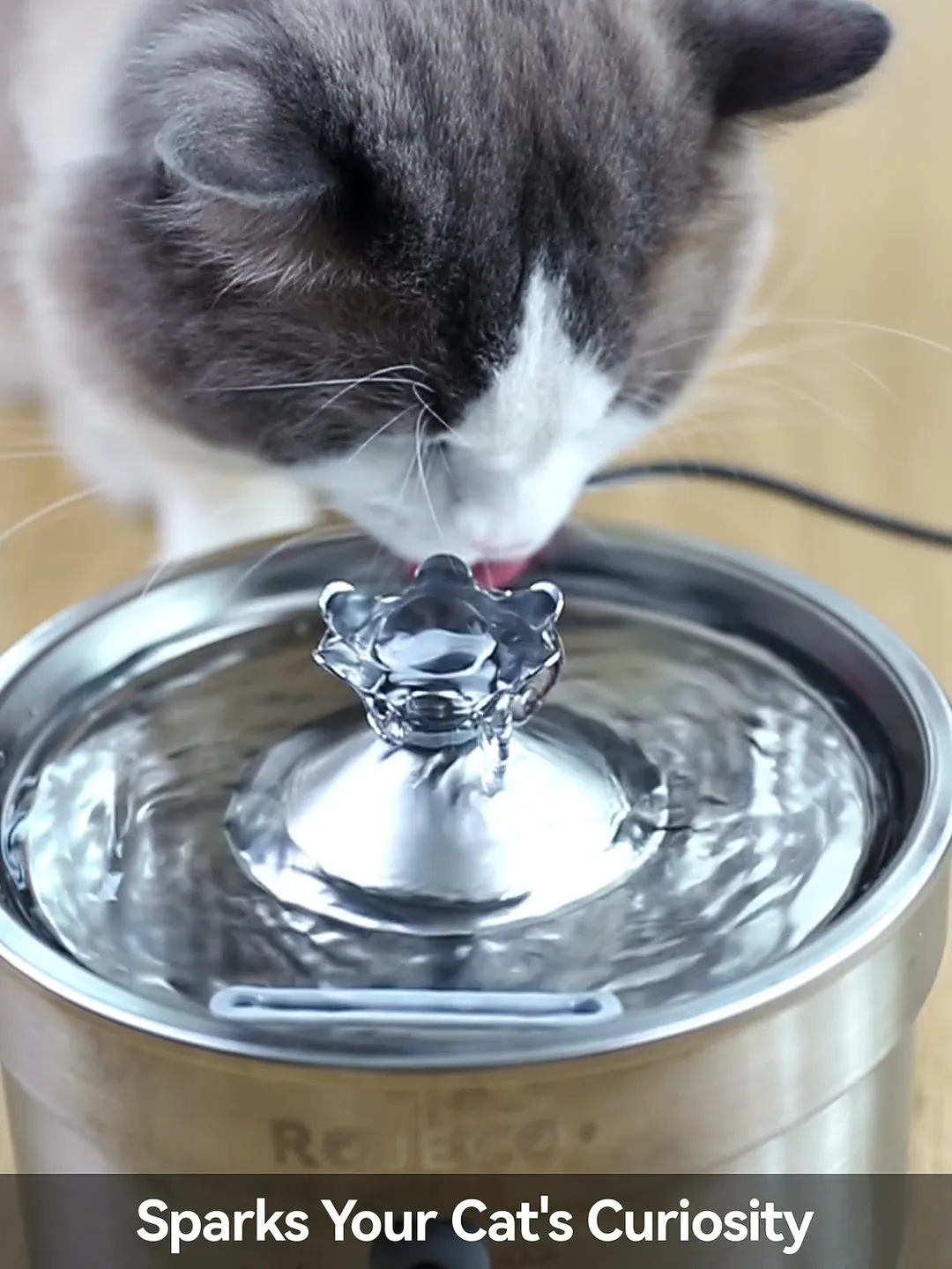 就它了！满足猫咪饮水需求的宝藏饮水机