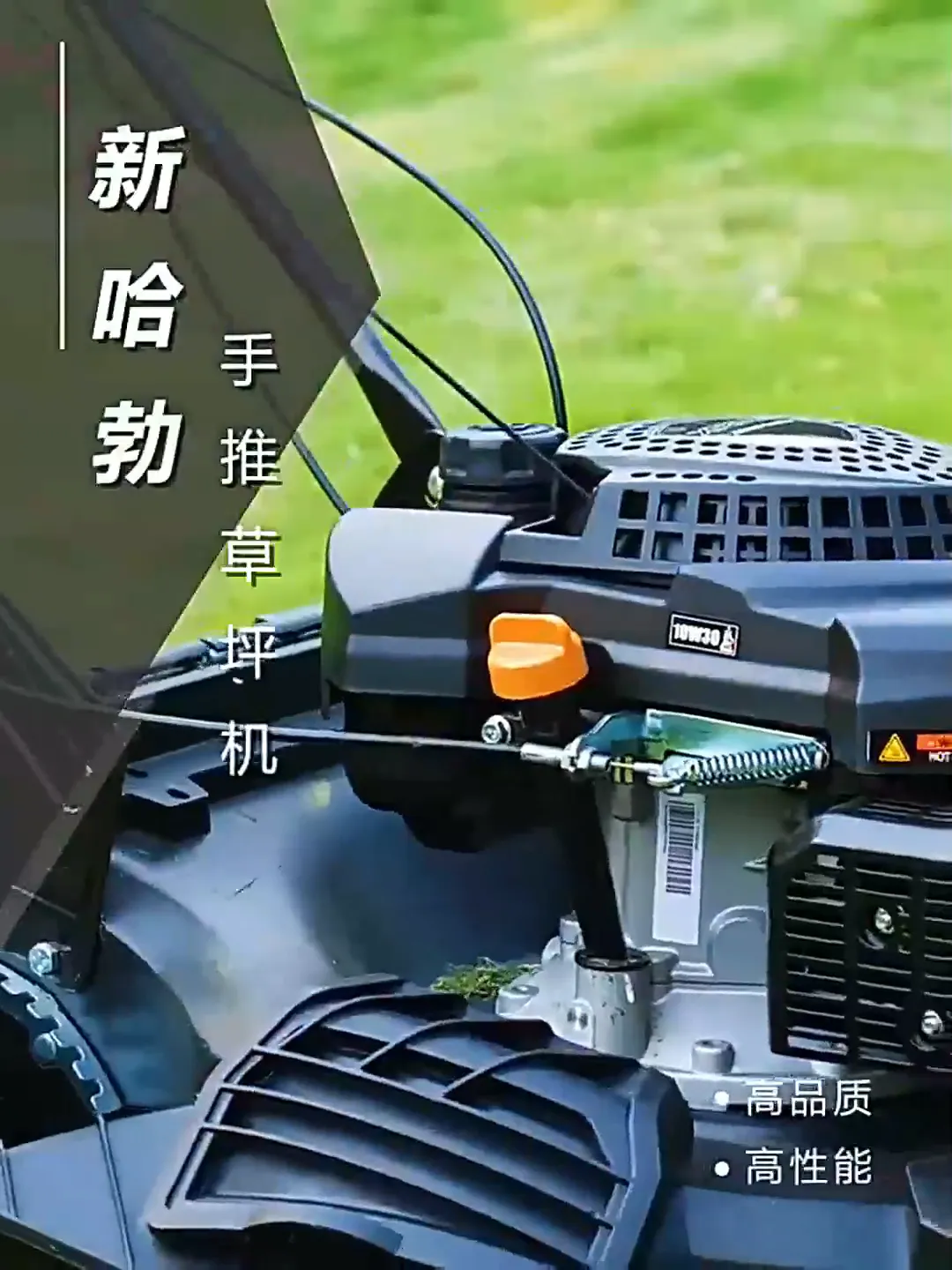 除草太狠！为整洁草坪保驾护航