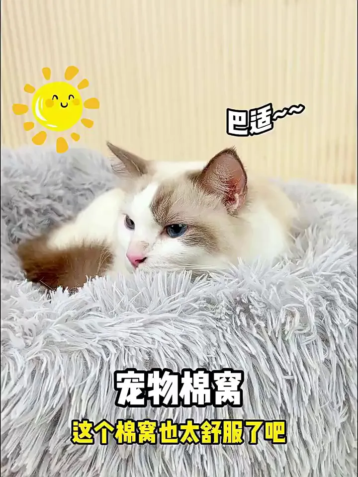 #宠物保暖救星💥不服不行!