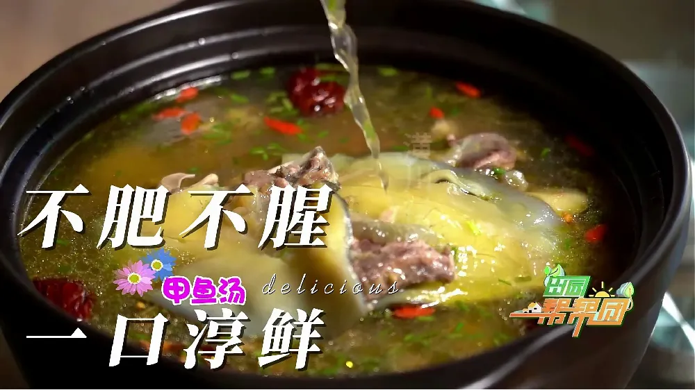 吃对甲鱼,滋补养生超简单!💪