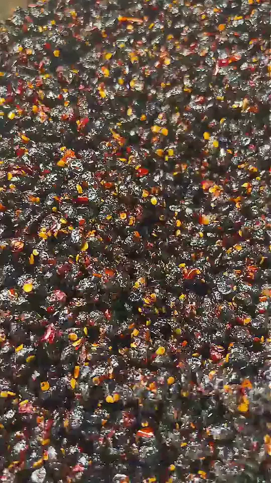 美食篇｜爱吃辣星人请点击观看