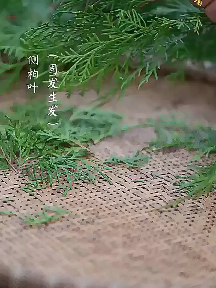 只用洗发皂，头发就已经next level了～