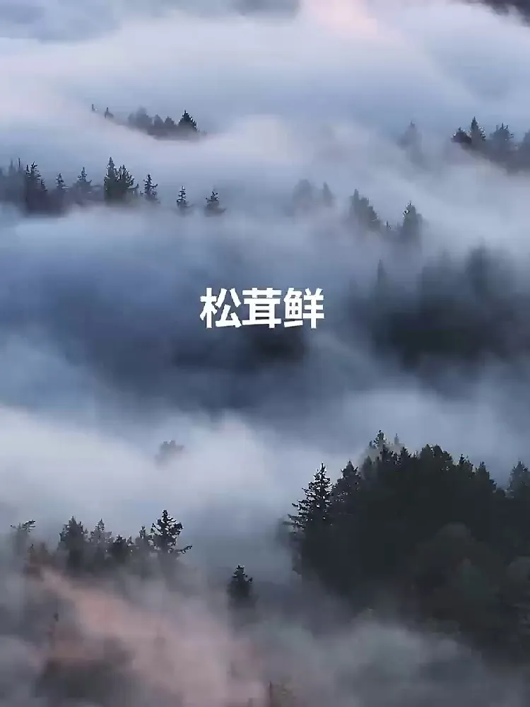 爱上这款调味料!鲜到眉毛掉,健康美味一辈子锁死!