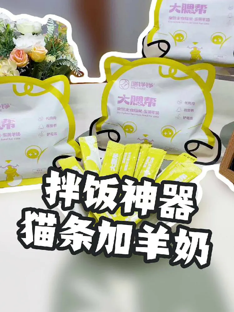 猫条界的宝藏选手🥹🥹🥹！！