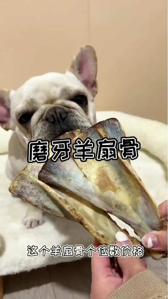 这款狗零食。。。性价比高得不像话