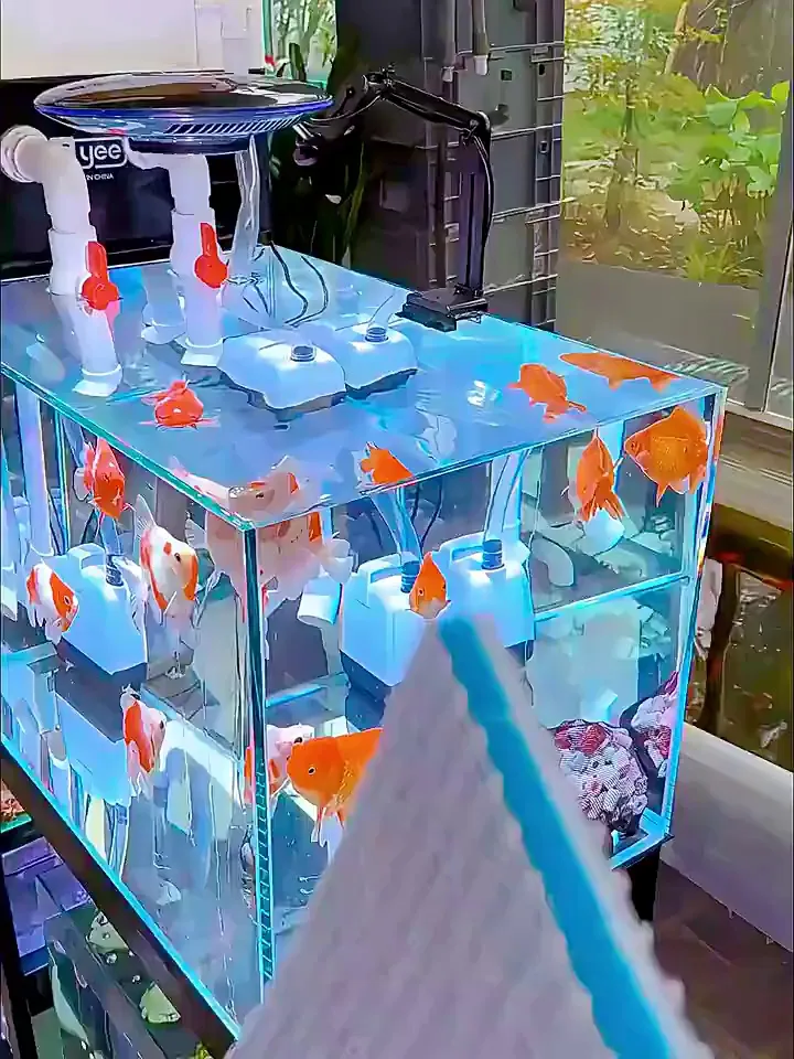 良心安利！热门鱼缸过滤棉测评