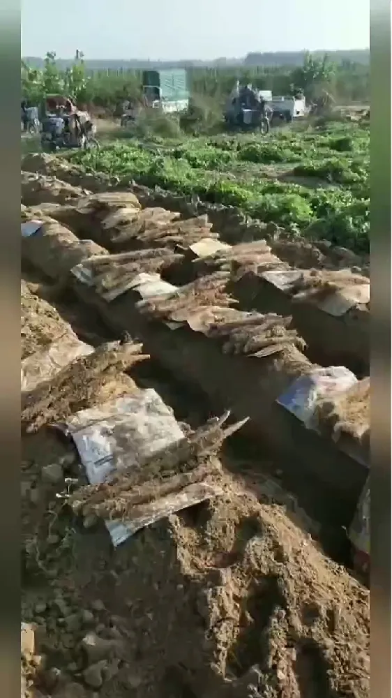 随手po！巨新鲜巨粉糯的山药！但好好吃啊啊