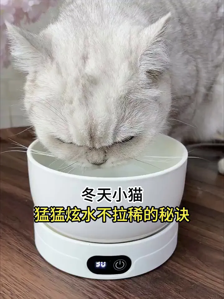 嗯？我家毛孩子的专属神器你能不爱了！！