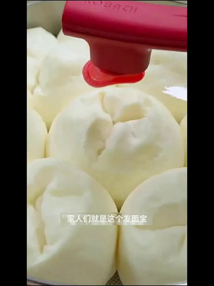 我不允许还有人没用过这款老面味发面宝酵母粉!