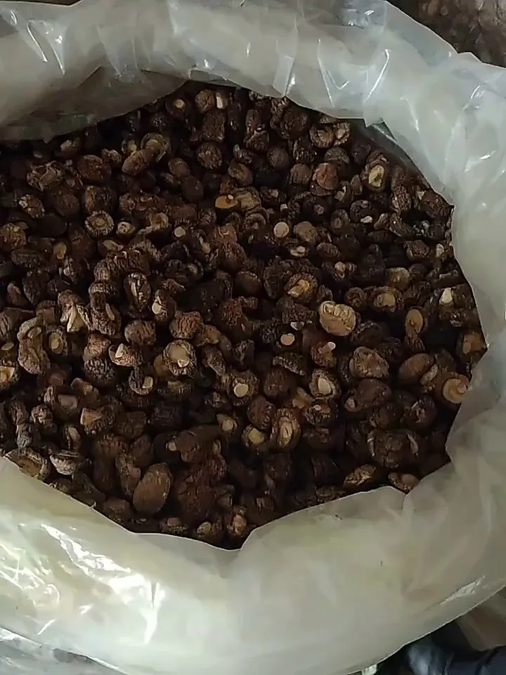 菌菇脑袋狂喜!这小香菇干简直是宝藏!
