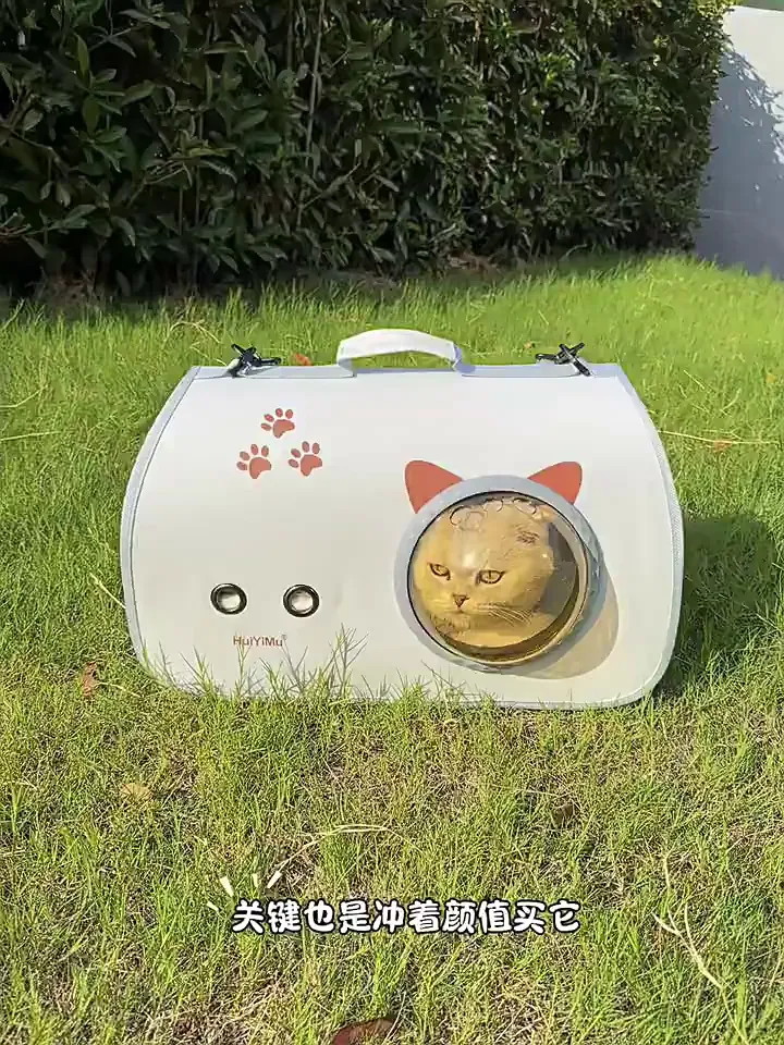 宠物出行好物之光!冬天带毛孩子出门就靠它!
