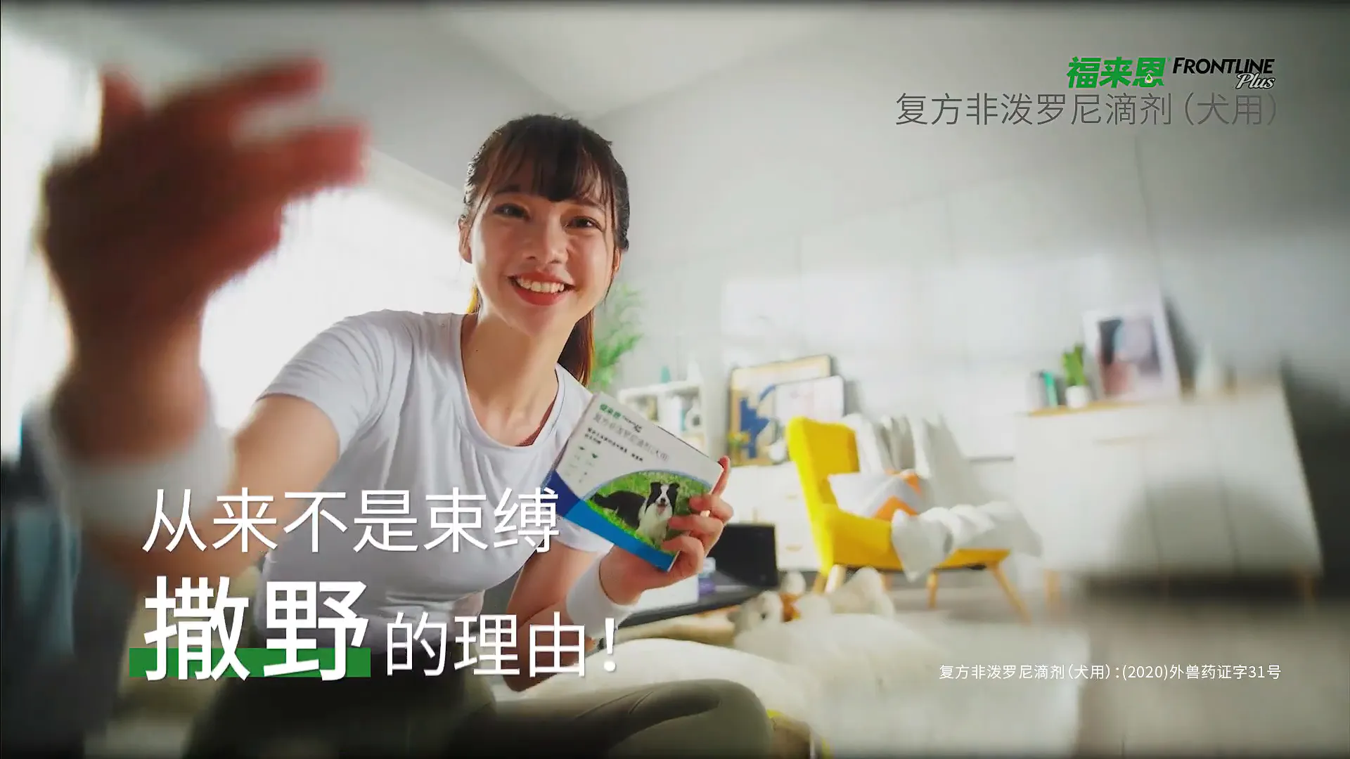 宠物驱虫高端局 | 驱虫药就要选对不选贵
