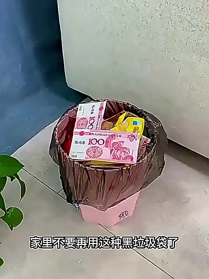 🚐✨「实用小物带来的便捷惊喜」