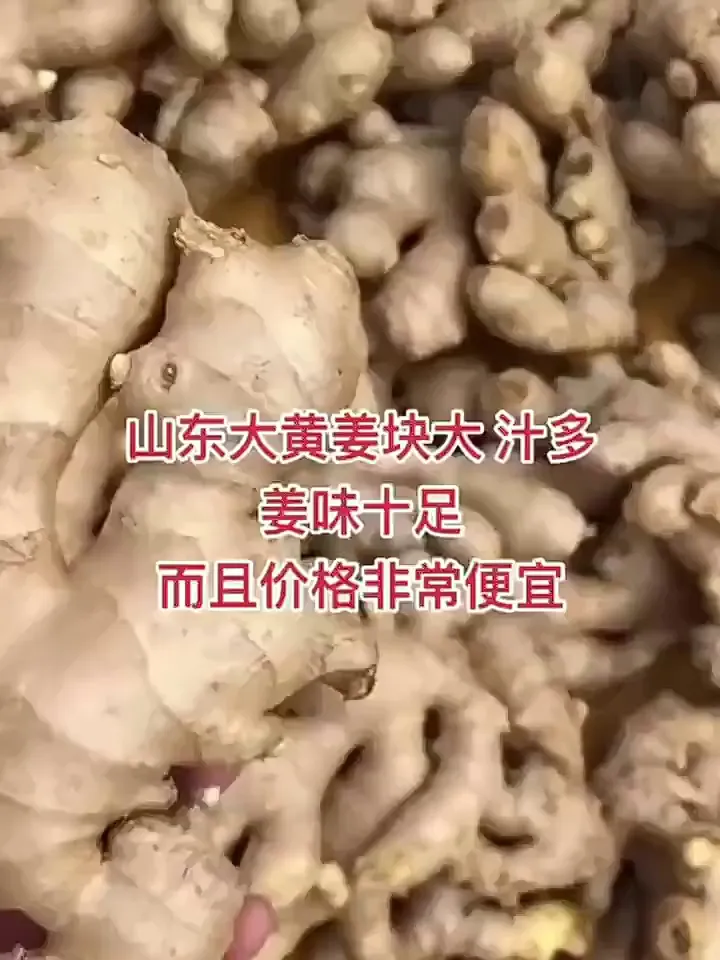 山东姜母:多样风味,领略姜中乾坤
