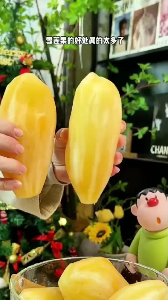 雪莲果在日常中的隐藏优势,被我扒光啦!