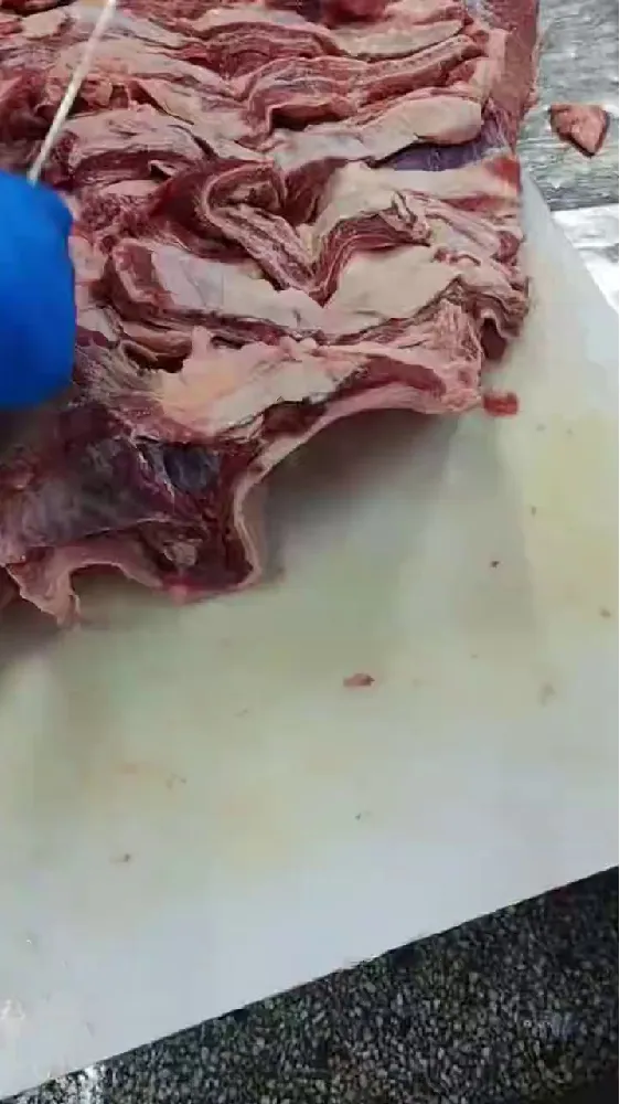 🔥肉食控必看:原切牛肋条肉尝鲜指南!