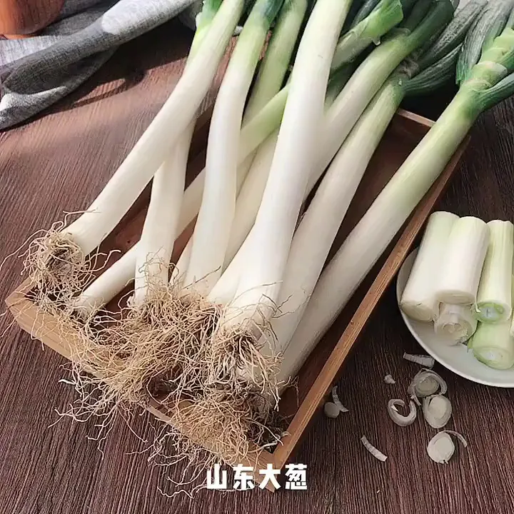简直葱中“宝藏”!轻松拿捏新鲜美味的农家毛葱
