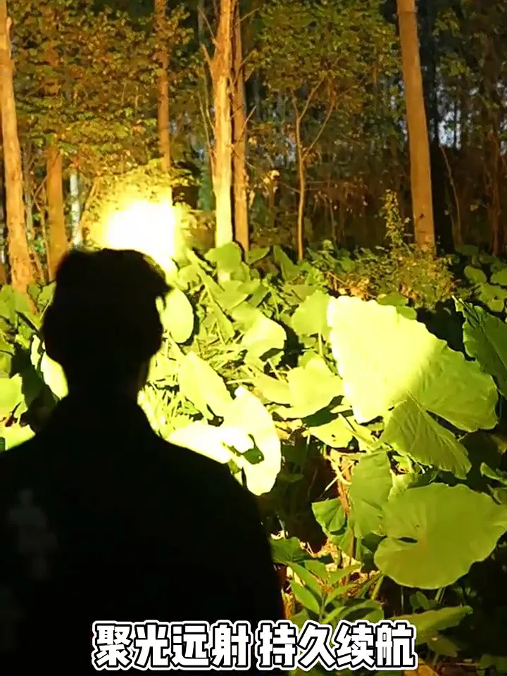 夜钓赶海不再愁!不摸黑的都别点!