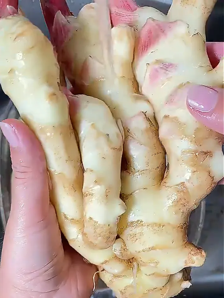 姜类选对不选贵!教你花小钱办大事