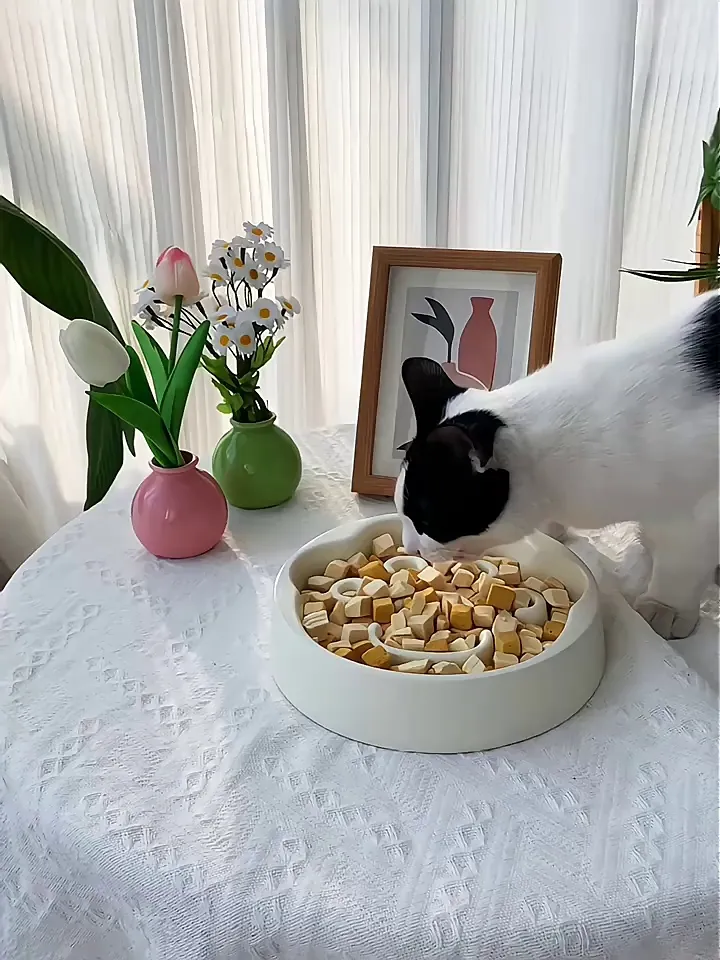 终于找到适合毛孩子的慢食碗了