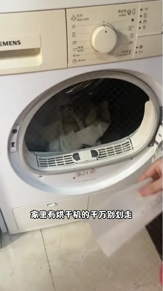 daily neaty代伊烘干机香衣片大揭秘