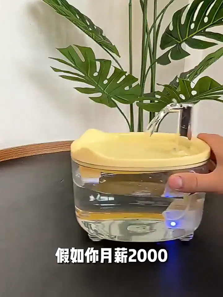 猫咪喝水大闯关,选对神器赢健康!
