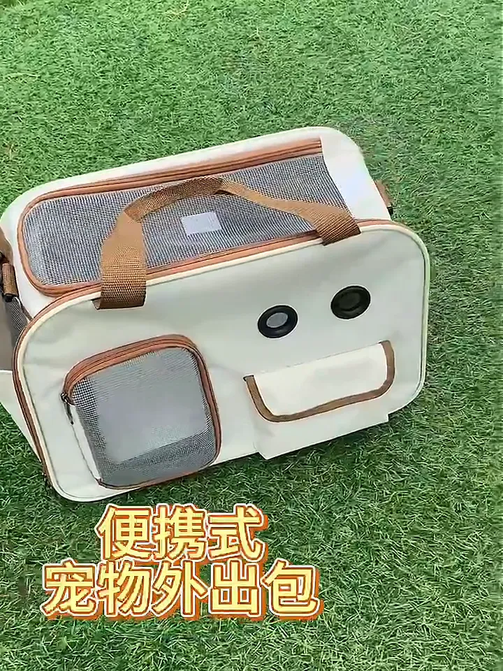 萌宠出行大变身!背上真的太太太太方便了