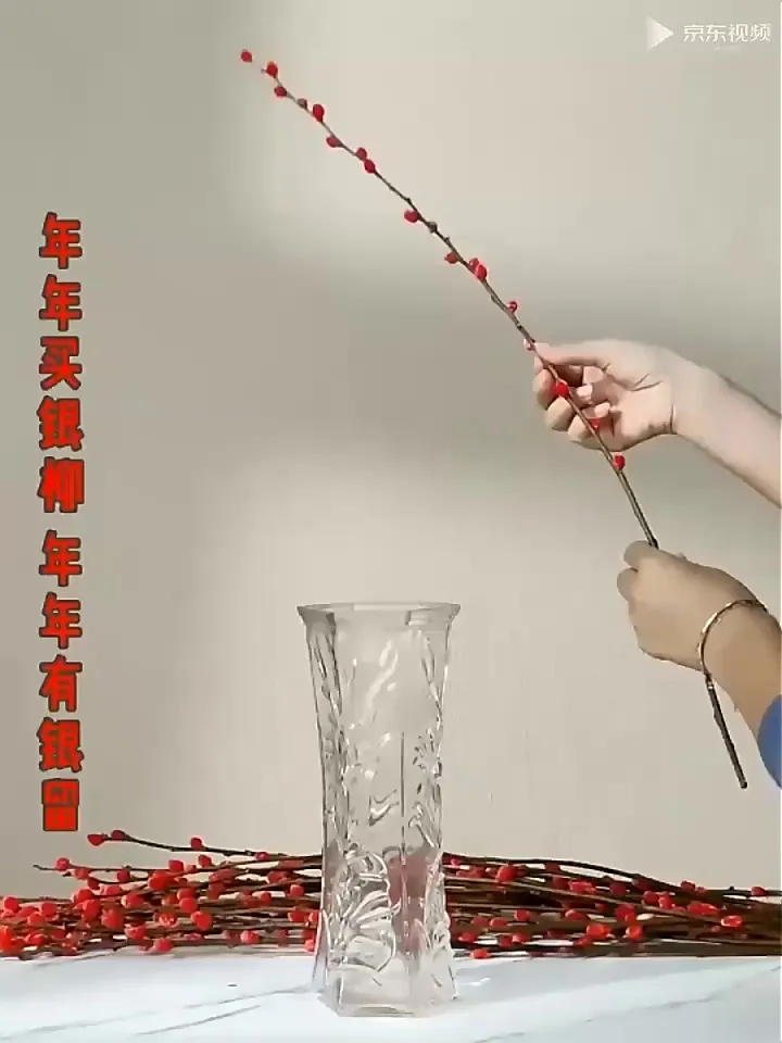 别乱买!这款银柳才是年宵花扛把子!