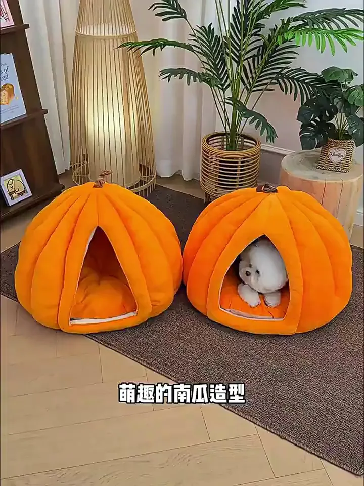 秋冬焕新窝！萌宠亮“窝”榜！💥
