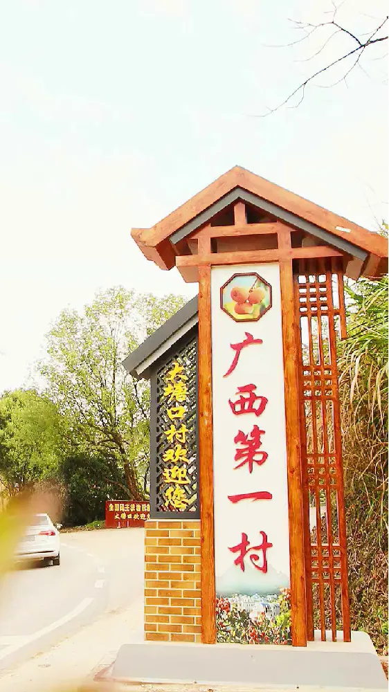 一口爆浆流心!这柿饼简直是秋冬甜蜜炸弹 ‼