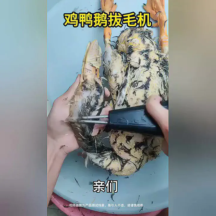 家禽拔毛也有神器?快来看看怎么个事